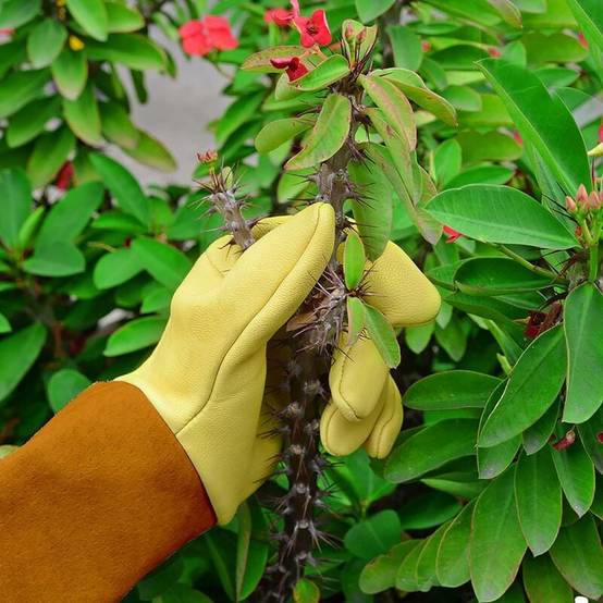 Gants de Jardin Femme/Homme Cadeaux de Jardin(L) Gants de Jardin Gants de Rose Résistants aux Épines Gants de Travail en Cuir Femme, Gants en Cuir Gan - Image 3