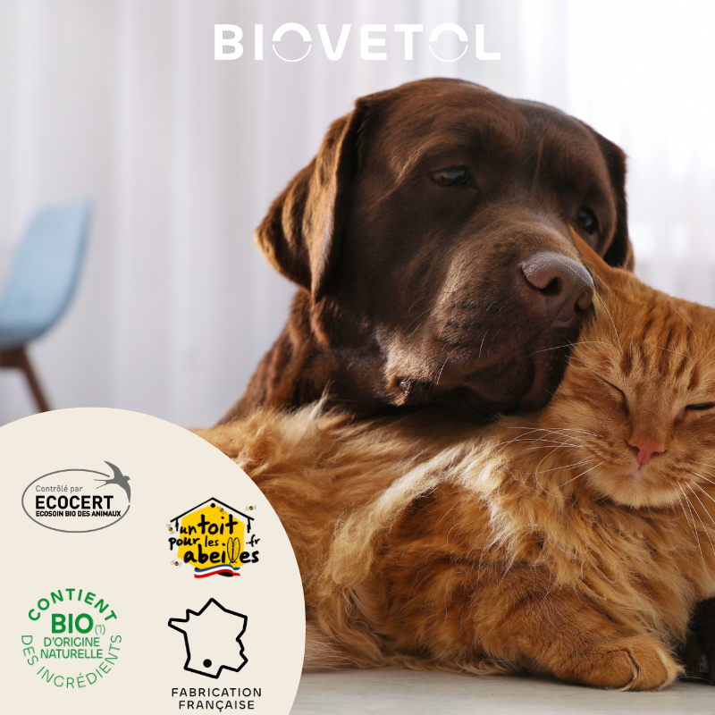 Biovetol - Lotion Anti-Odeurs Bio (recharge écologique) - Image 3