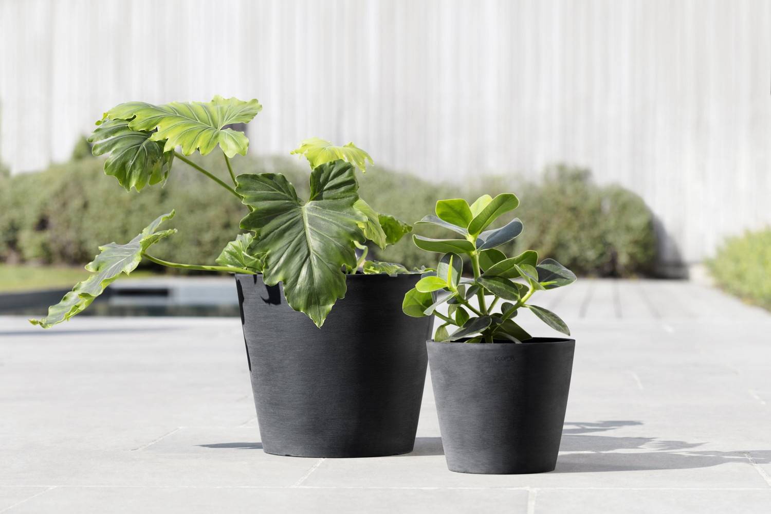 Ecopots - Pot Rond Amsterdam 20 Gris Foncé - Ø 20 x H. 17,5 cm - 4 L ECOPOTS - Image 5