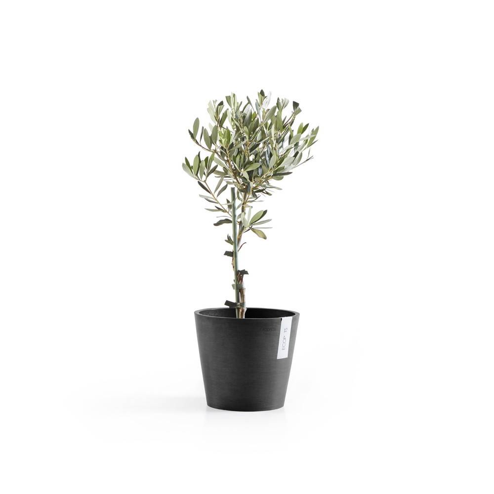 Ecopots - Pot Rond Amsterdam 20 Gris Foncé - Ø 20 x H. 17,5 cm - 4 L ECOPOTS - Image 3