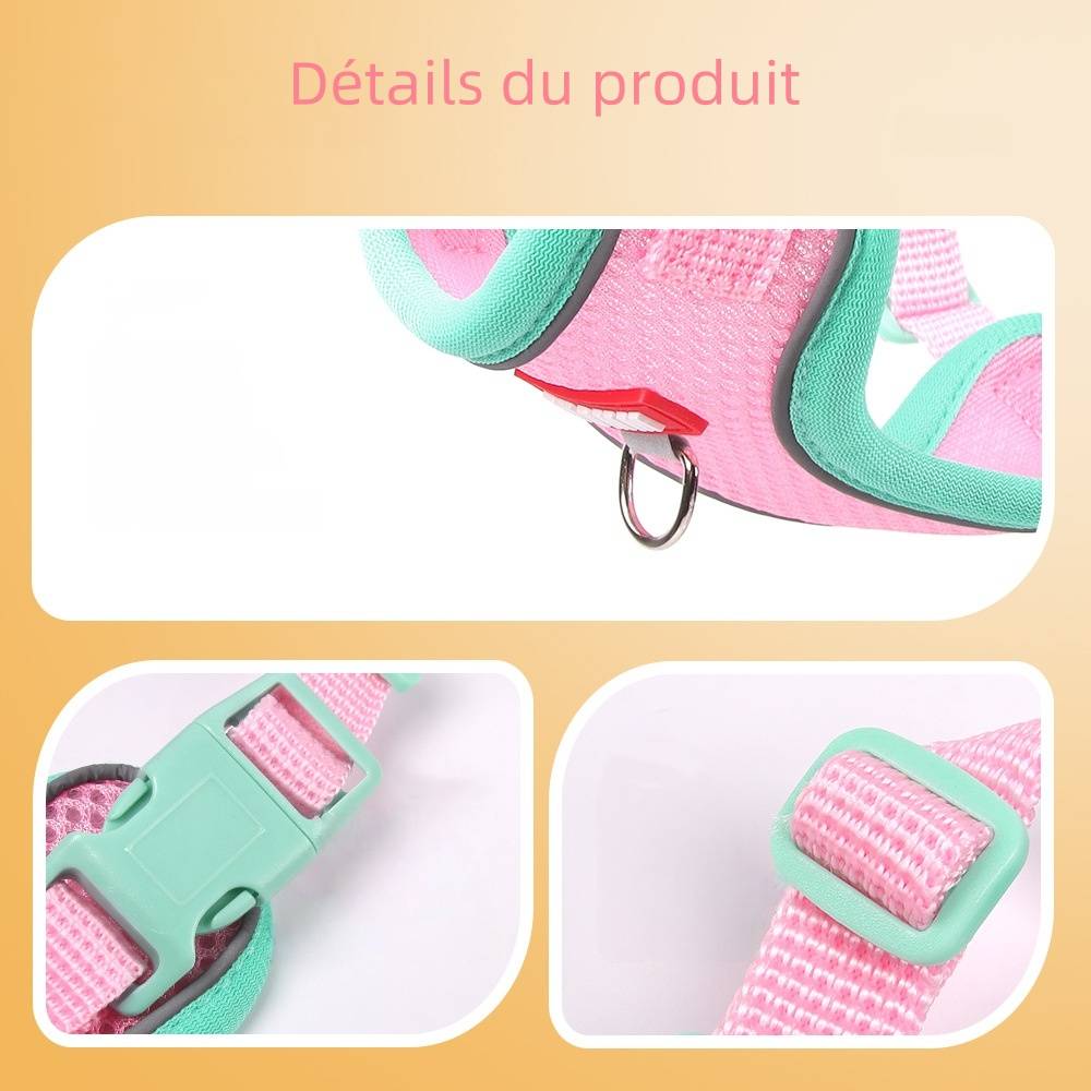 IntiMeg - Harnais avec laisse pour chat xl - IntiMeg - Image 5