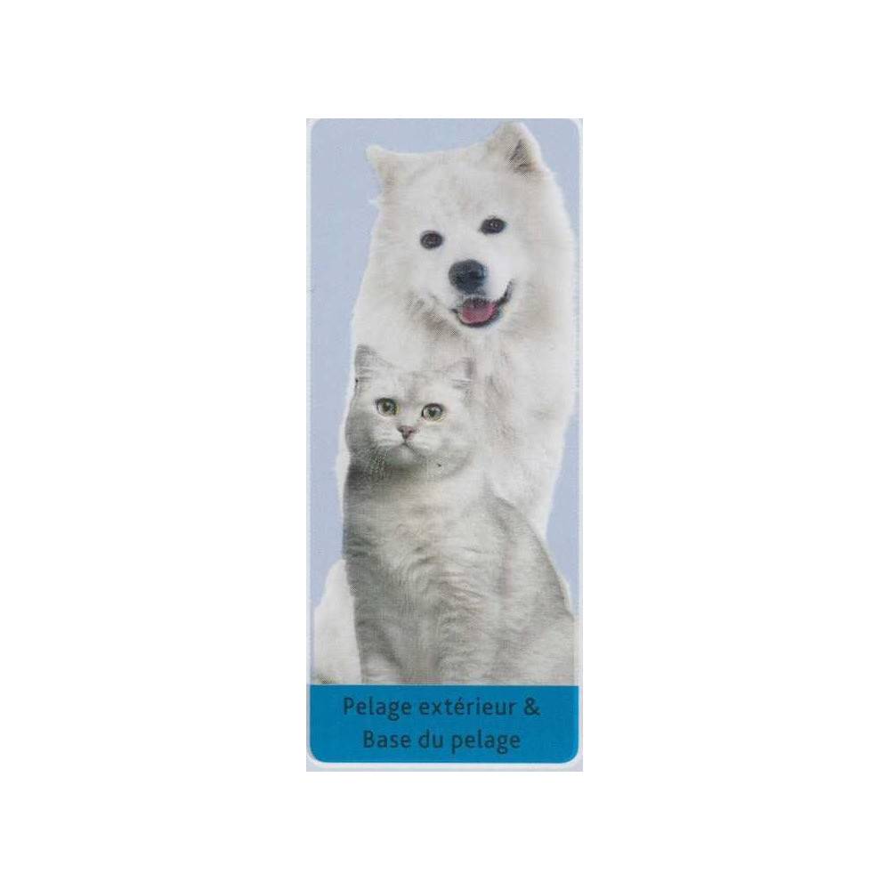 Trixie - Trixie - Brosse souple plastique 10 x 16 cm pour chat et chien - Image 2