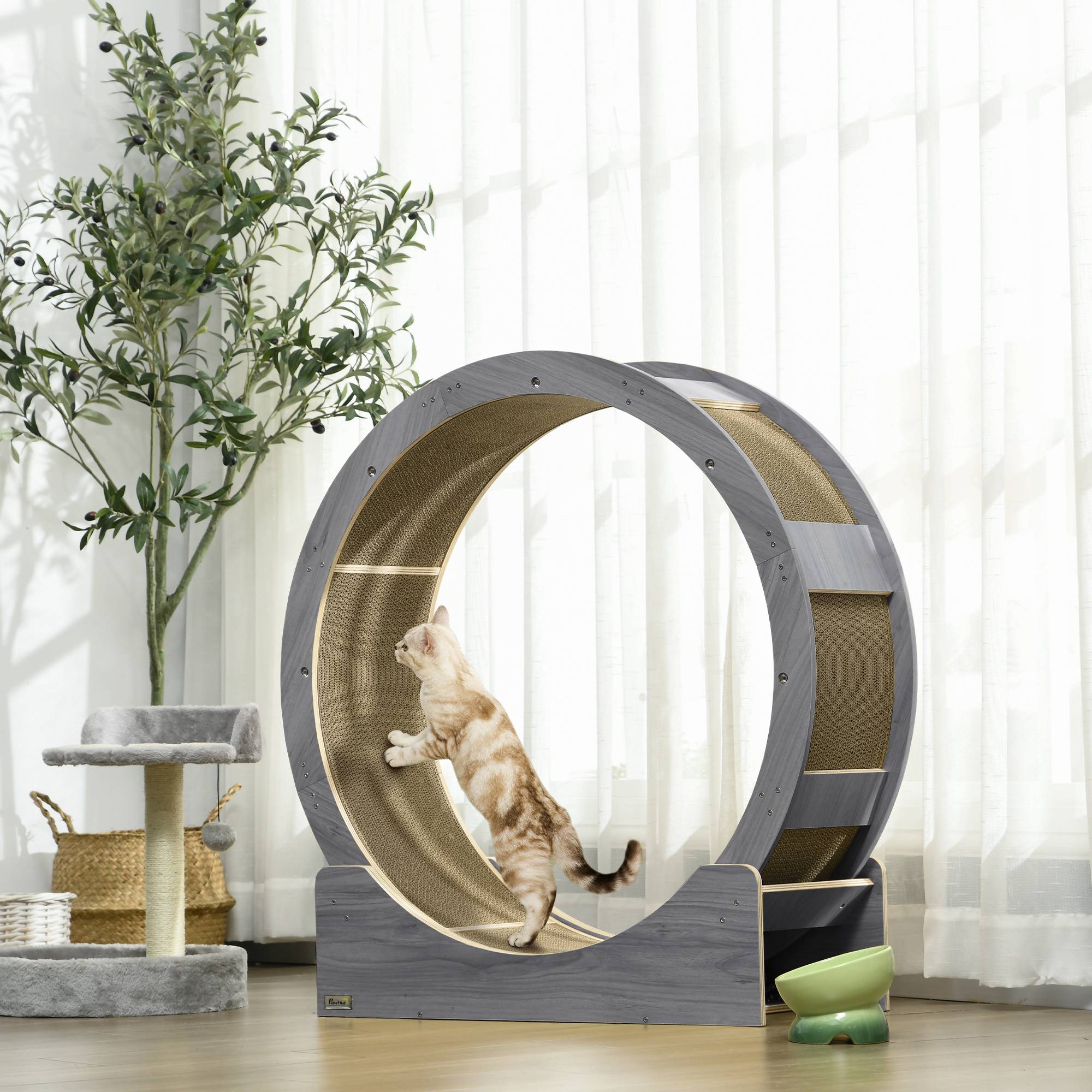 PANGIVO - Roue d'exercice pour chat bois gris 91 x 33.5 x 94 cm - PANGIVO - Image 2