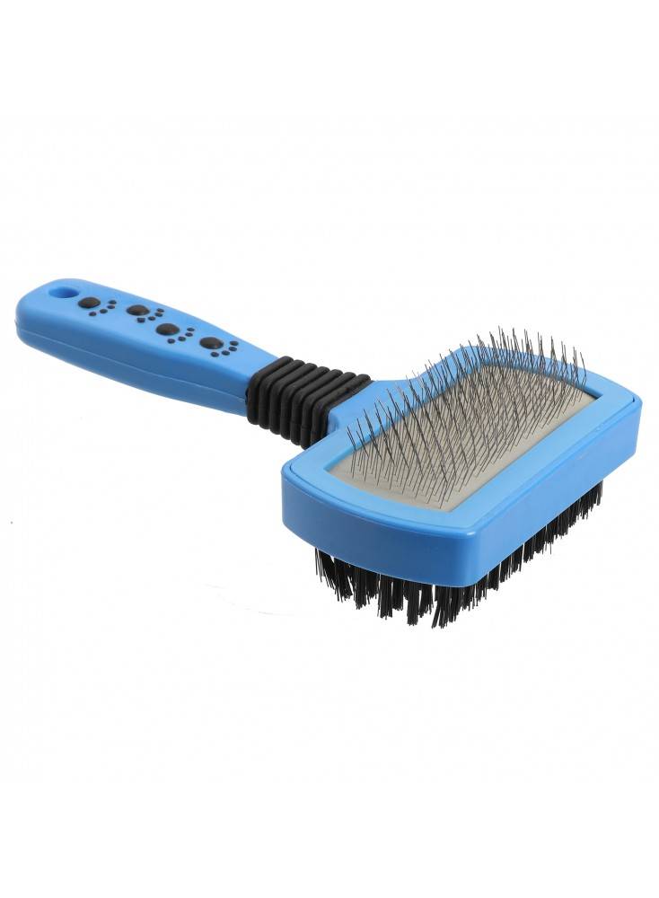 Brosse carde design BLEU - Mon Ami Luki - Image 1