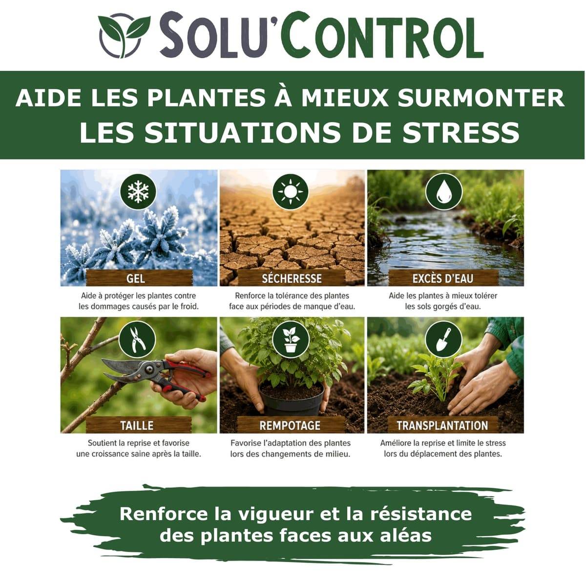 Tout pour les nuisibles - Végé'Reprise 500 mL - Biostimulant concentré aux acides aminés, algues et oligo-éléments Solu'Control - Fabriqué en France - UAB - Image 3