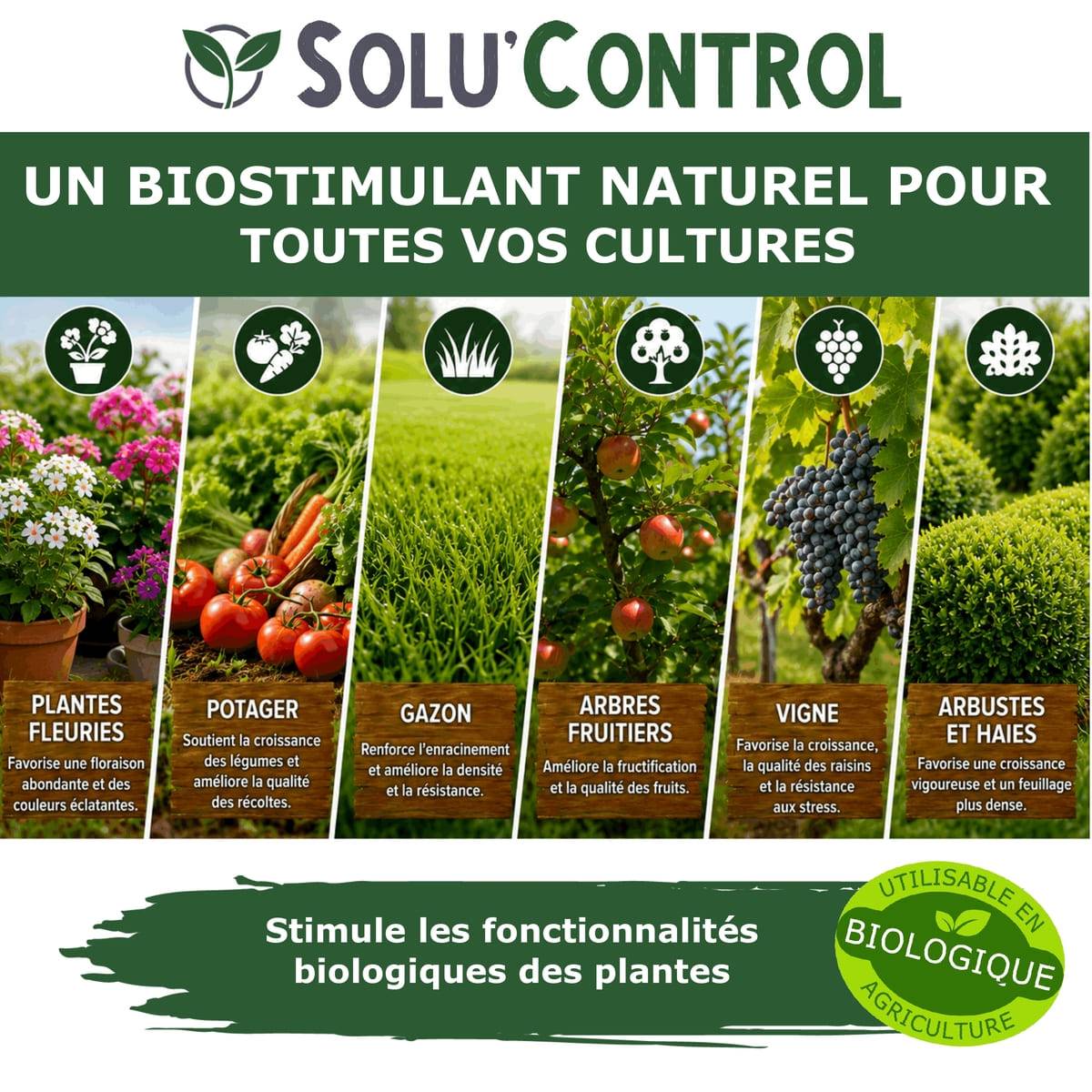 Tout pour les nuisibles - Végé'Reprise 500 mL - Biostimulant concentré aux acides aminés, algues et oligo-éléments Solu'Control - Fabriqué en France - UAB - Image 4