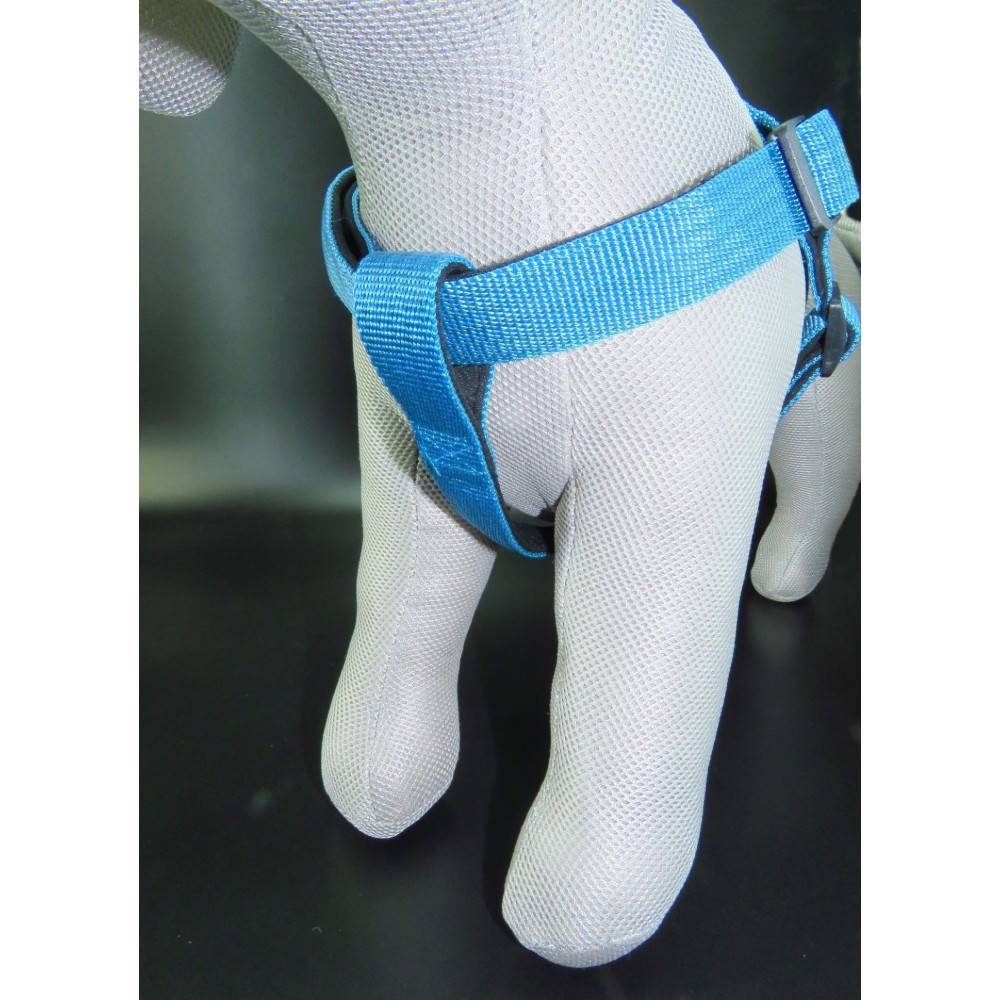 Harnais Jannu S 25-45 cm 15 mm  bleu pour chien - Image 7