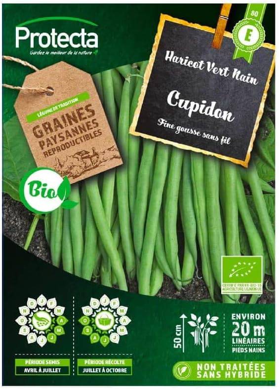 Protecta - Haricot vert nain sans fil Cupidon BIO