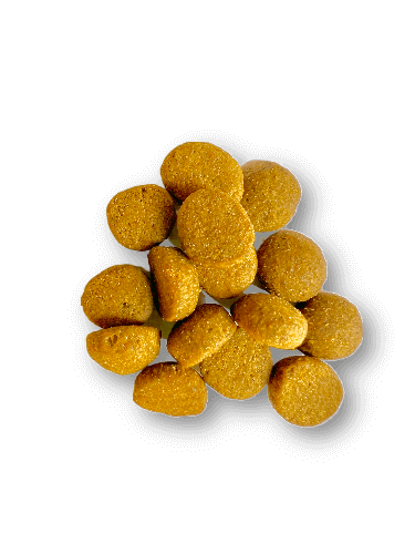 Croquettes chat adulte holistic sans céréales - Poisson Blanc avec Caviar de Hareng - 5 Kg - Image 3