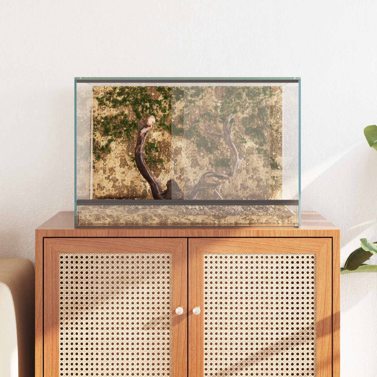 Vidaxl - Terrarium avec stockage Transparent 60 x 40 x 40 cm Verre vidaXL 42020391 - Image 5