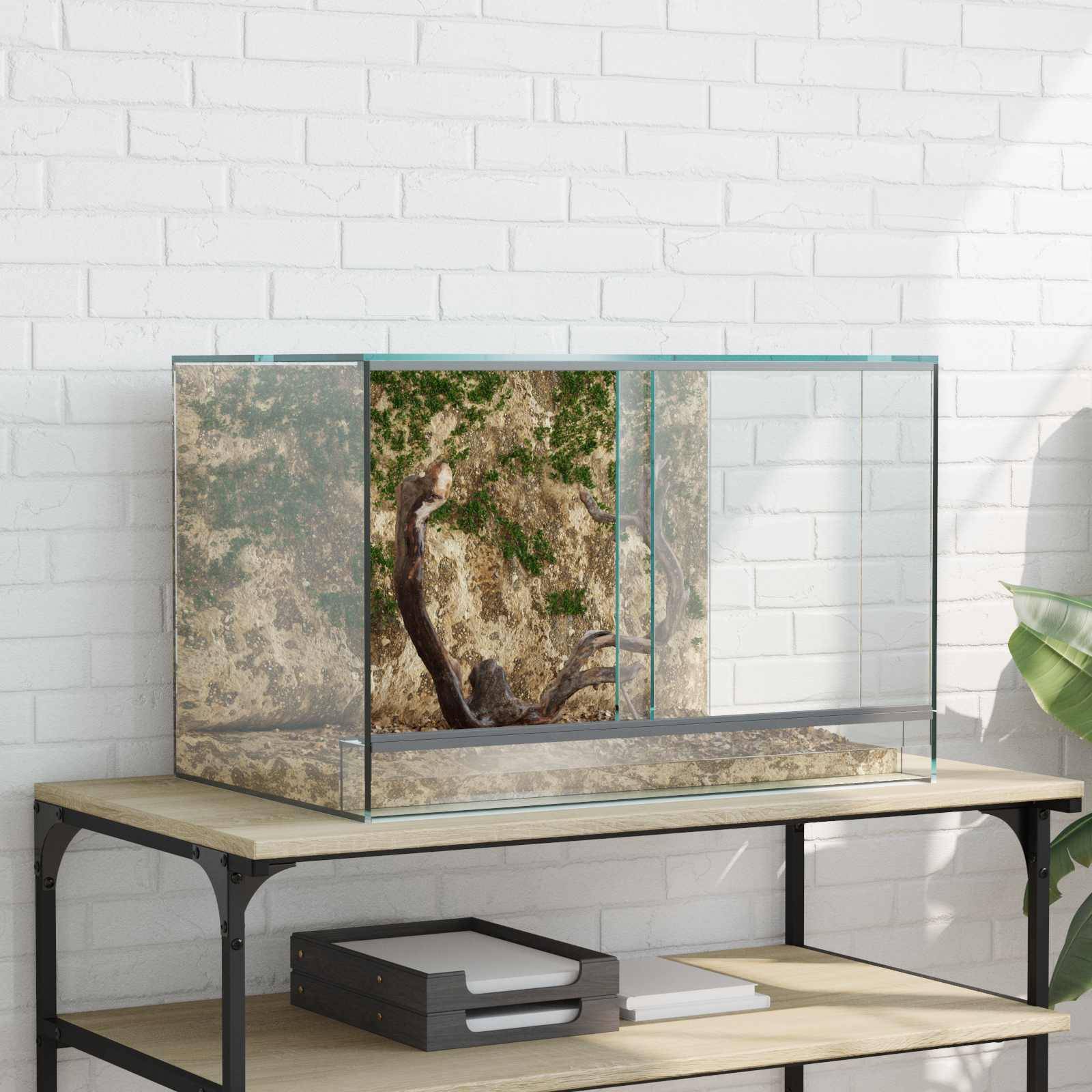 Vidaxl - Terrarium avec stockage Transparent 60 x 40 x 40 cm Verre vidaXL 42020391 - Image 1