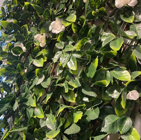James Grass - France Green - Treillis extensible feuilles de jasmin fleuri, Long 6 m, Hauteur 1 m - Image 2