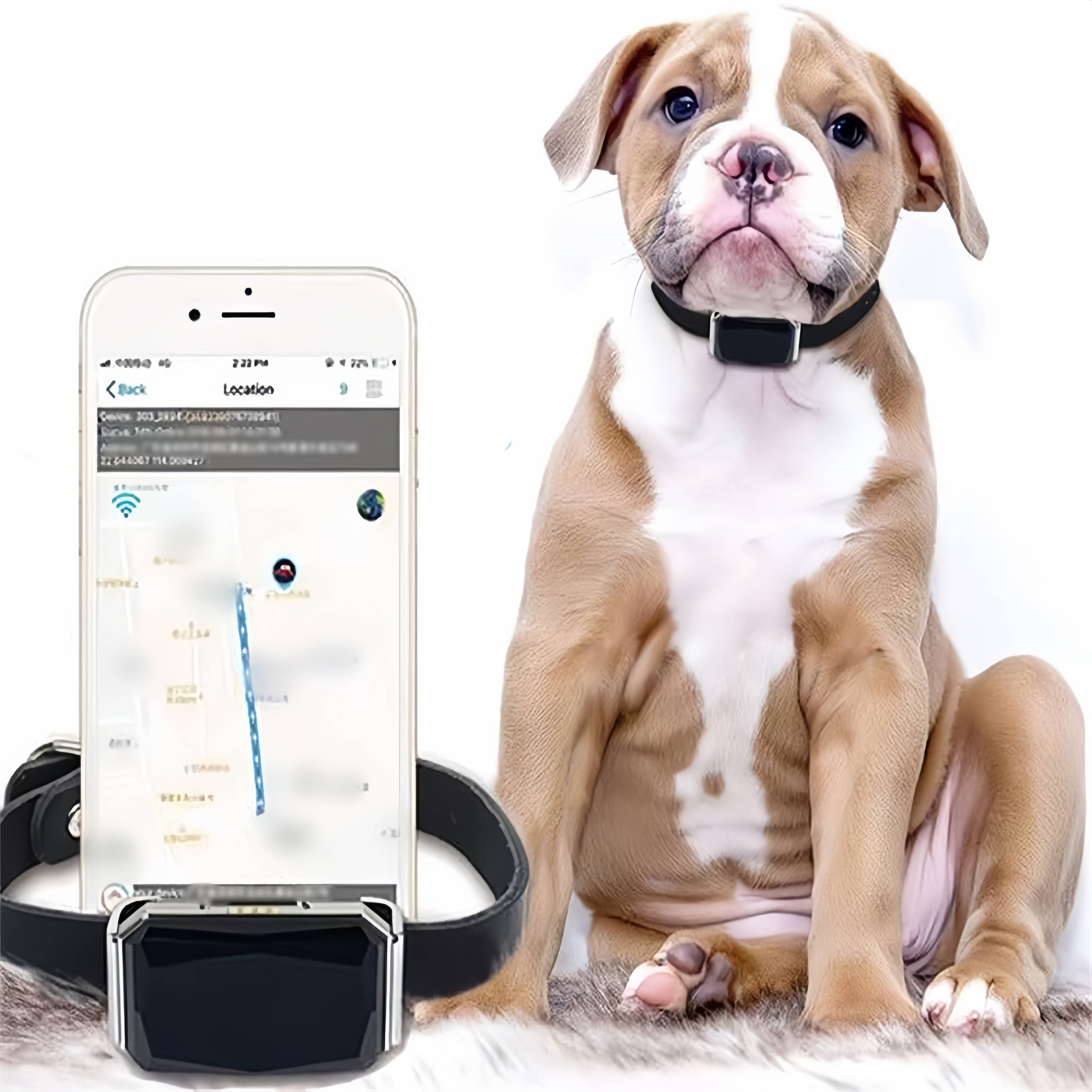 Collier GPS Tracker pour chien DtopbuyAge - Image 1