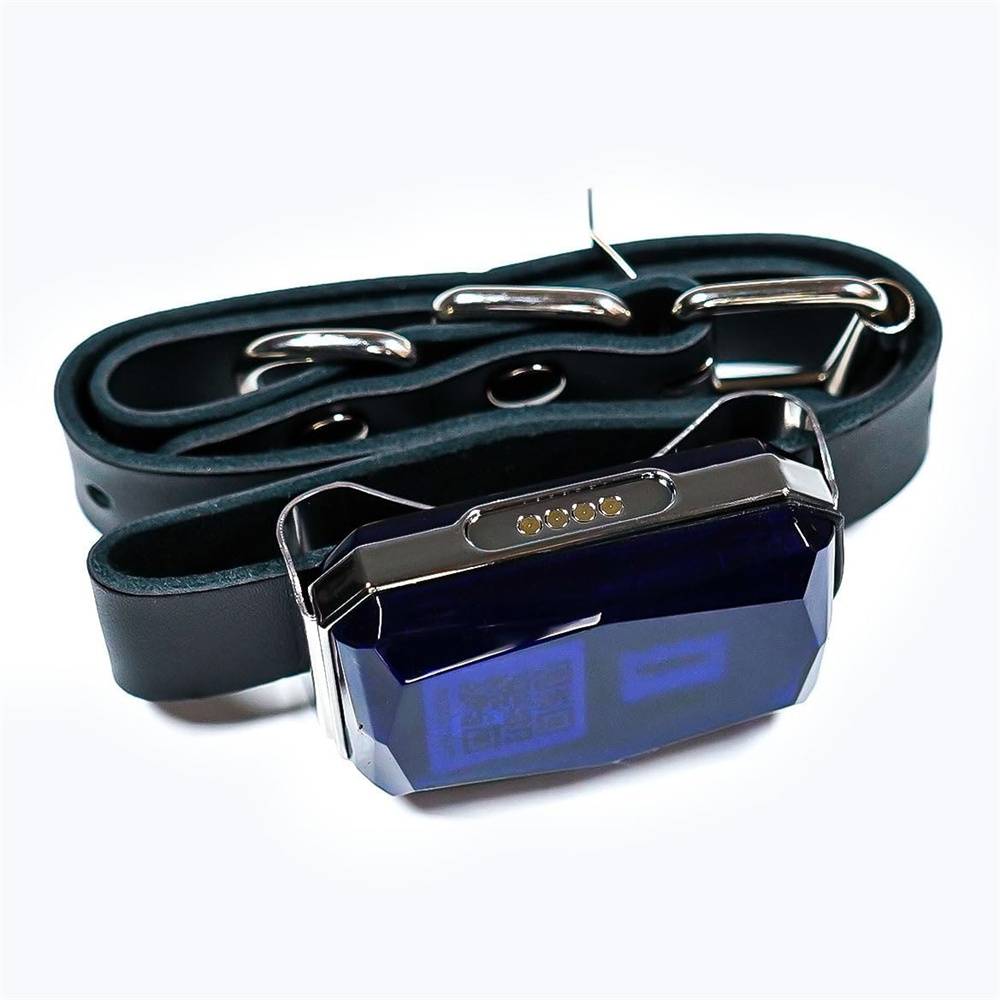 Collier GPS Tracker pour chien DtopbuyAge - Image 4