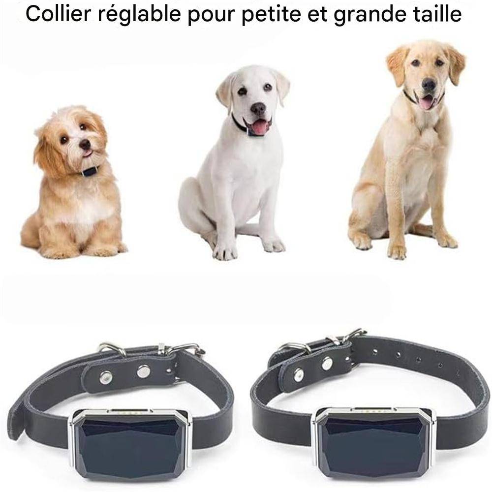 Collier GPS Tracker pour chien DtopbuyAge - Image 3