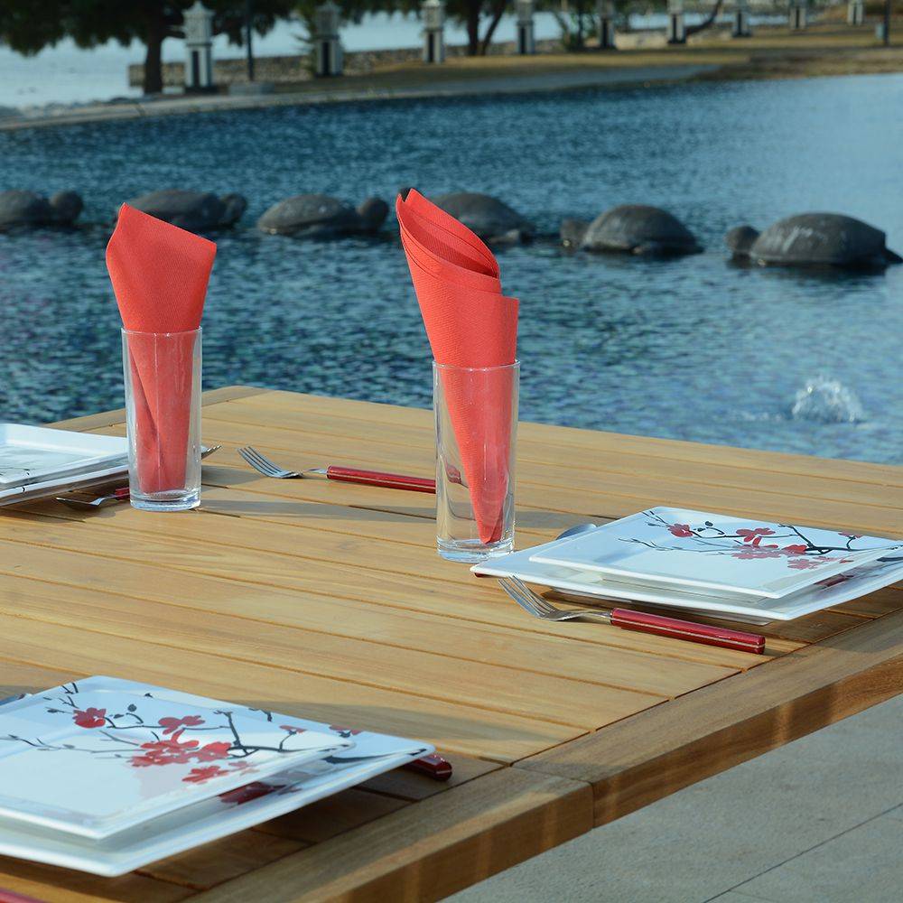 Teck'Attitude - Salon de jardin teck massif Canoas, 8 places - TECK'Attitude - Image 3