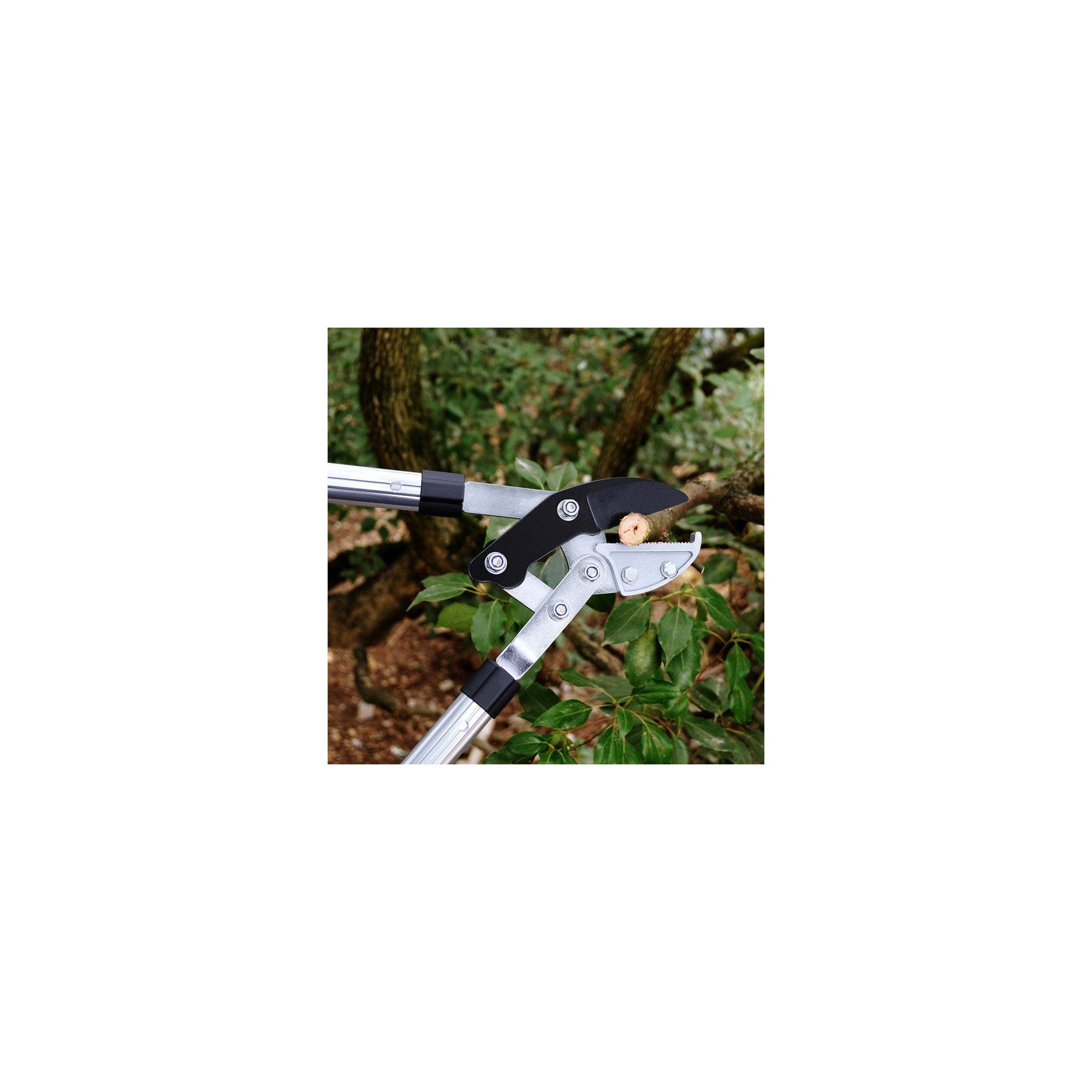 Coupe branche lame enclume - Suan - Manche télescopique - Dimensions : 87 x 34 cm - Image 4