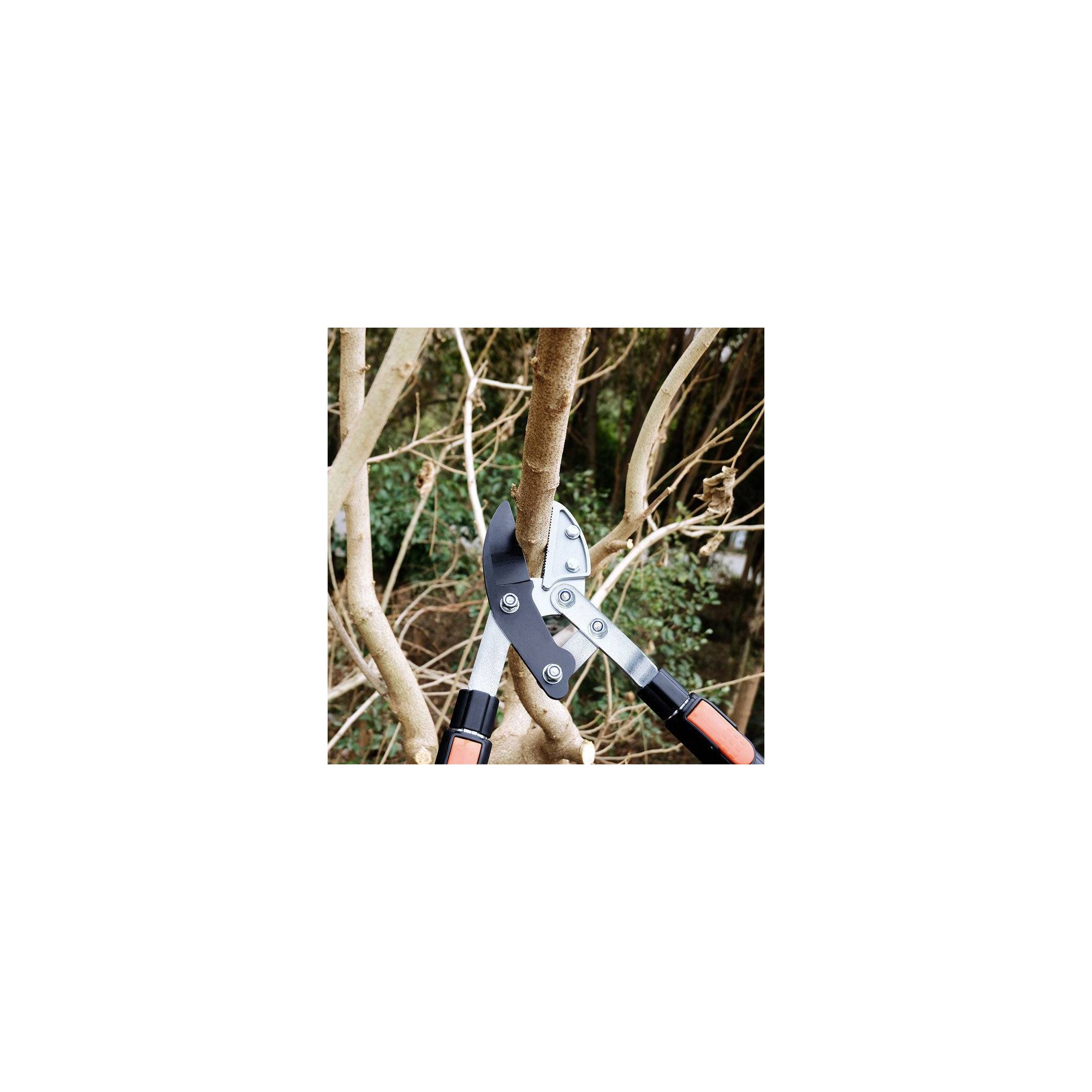 Coupe branche lame enclume - Suan - Manche télescopique - Dimensions : 87 x 34 cm - Image 3