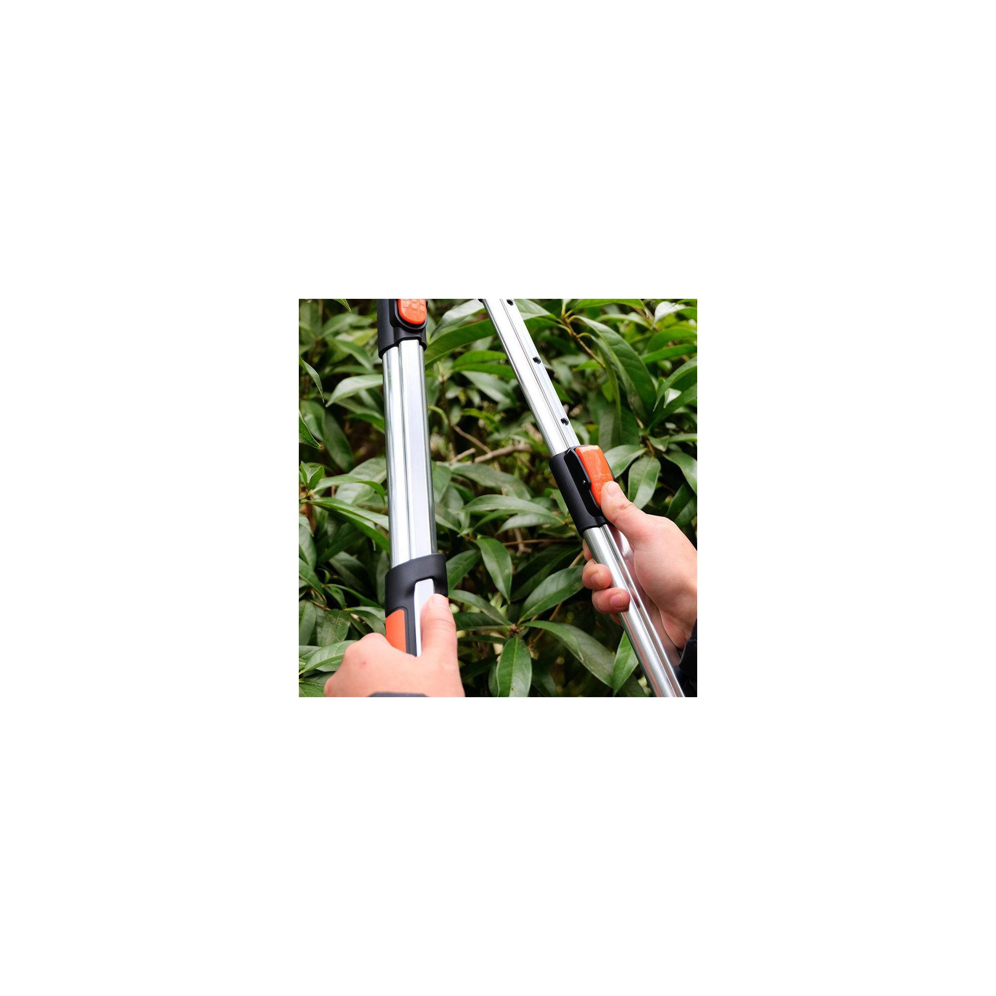 Coupe branche lame enclume - Suan - Manche télescopique - Dimensions : 87 x 34 cm - Image 2
