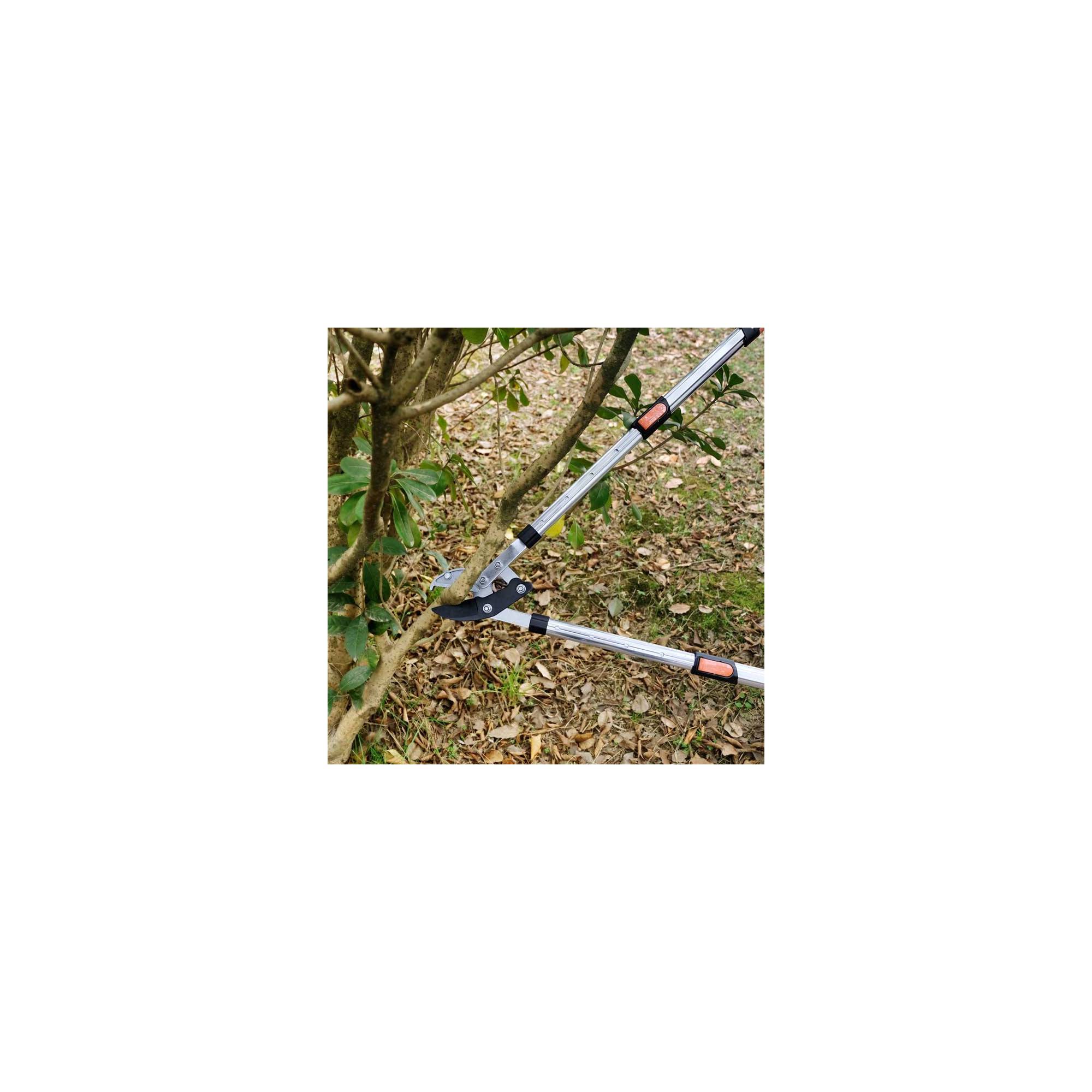 Coupe branche lame enclume - Suan - Manche télescopique - Dimensions : 87 x 34 cm - Image 8