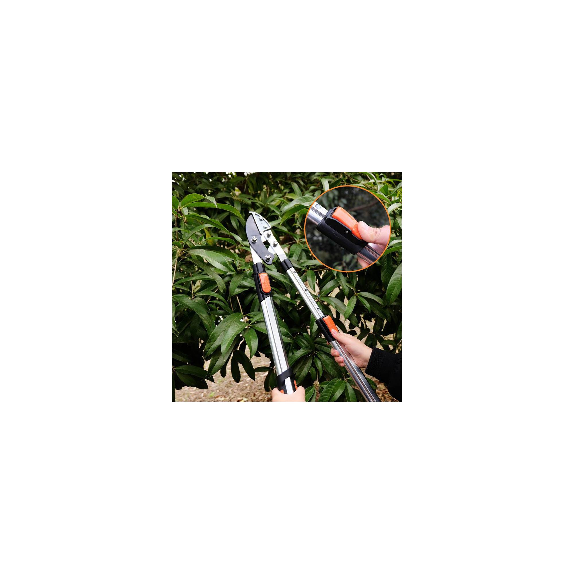Coupe branche lame enclume - Suan - Manche télescopique - Dimensions : 87 x 34 cm - Image 7