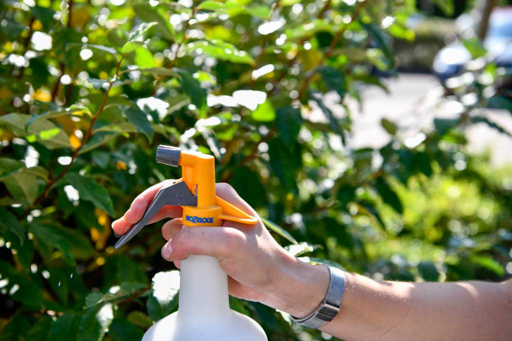 Hozelock - Pulvérisateur à gâchette spraymist 1L - Image 2