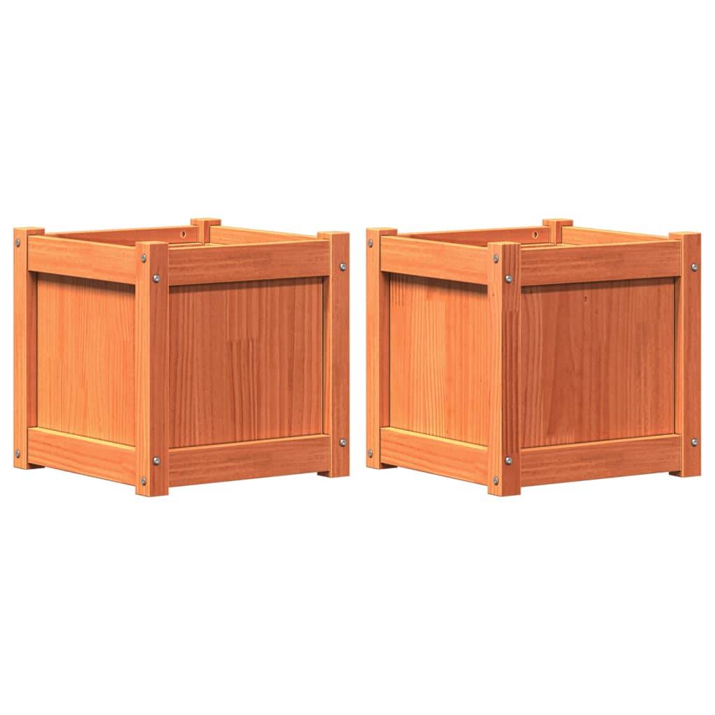 Jardinières 2 pcs bois de pin massif cire marron 40 x 40 x 40 cm - PANGIVO - Image 2