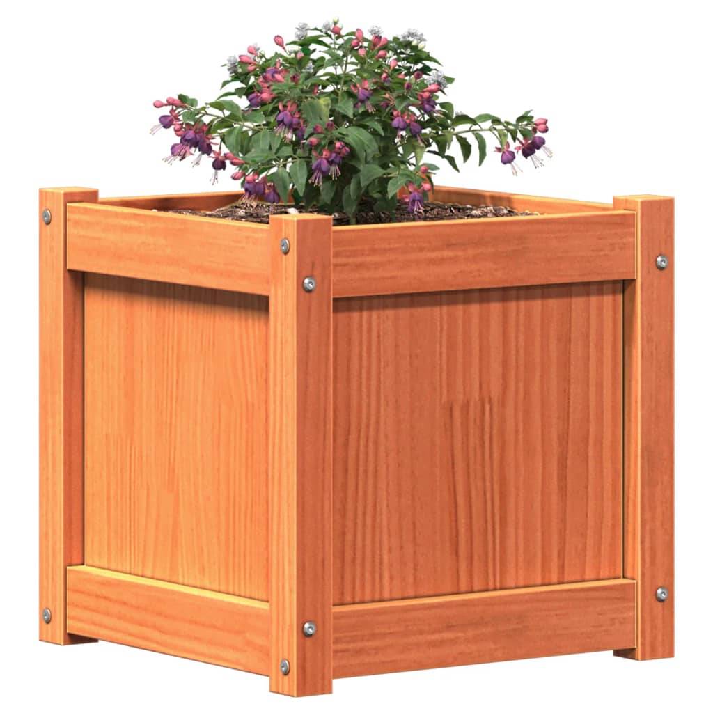 Jardinières 2 pcs bois de pin massif cire marron 40 x 40 x 40 cm - PANGIVO - Image 4