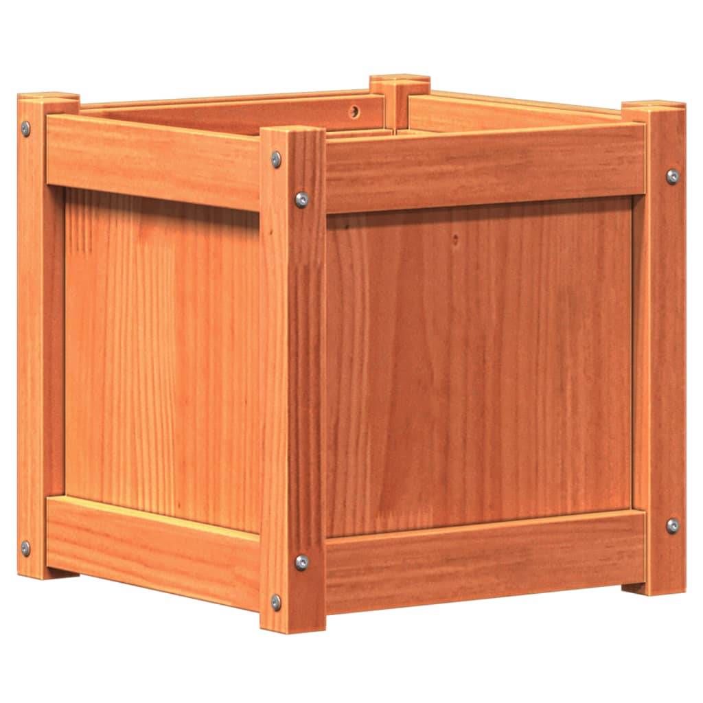 Jardinières 2 pcs bois de pin massif cire marron 40 x 40 x 40 cm - PANGIVO - Image 8