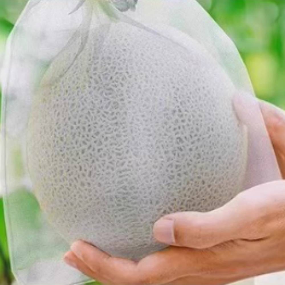 25 sacs en nylon blanc anti-oiseaux et anti-insectes 23x30 cm pour divers fruits MCBOSON - Image 5