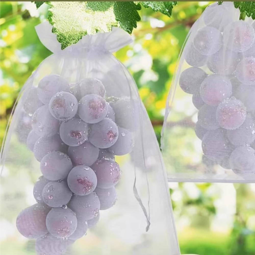 25 sacs en nylon blanc anti-oiseaux et anti-insectes 23x30 cm pour divers fruits MCBOSON - Image 2