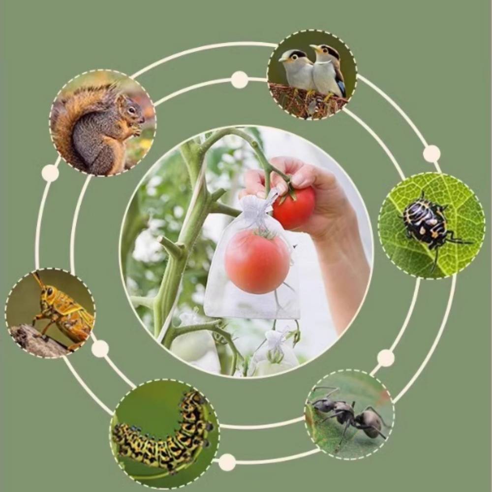 25 sacs en nylon blanc anti-oiseaux et anti-insectes 23x30 cm pour divers fruits MCBOSON - Image 8