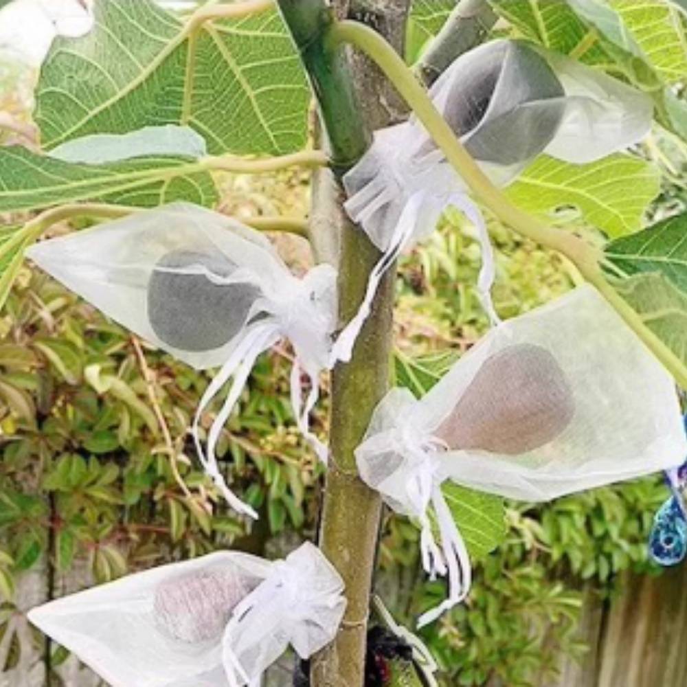 25 sacs en nylon blanc anti-oiseaux et anti-insectes 23x30 cm pour divers fruits MCBOSON - Image 7