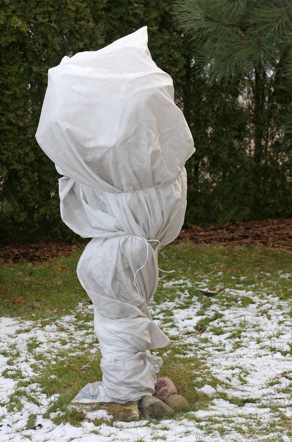 50 m² voile de protection hivernale en non-tissé, toile d’hivernage, protection contre le gel 150 g, 2 m de large - Image 4