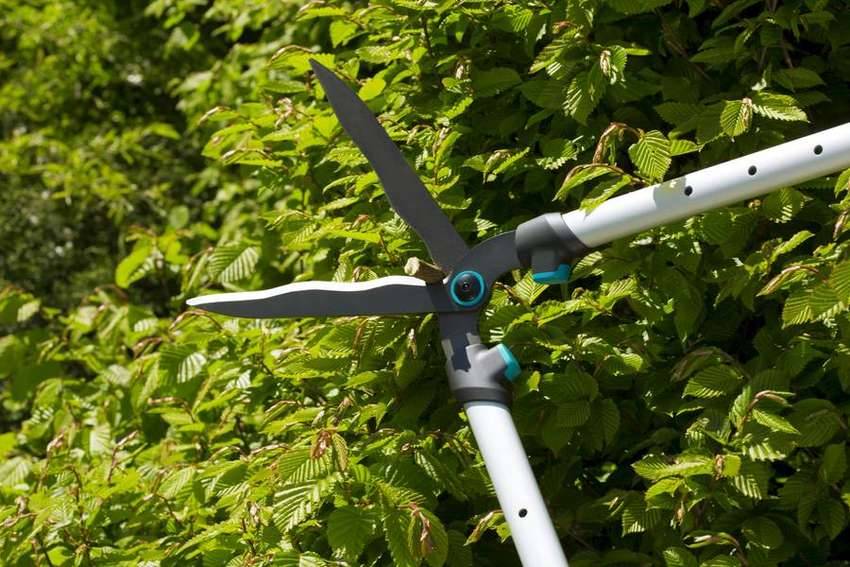 Gardena - Cisaille à Haies télescopique TeleCut - lames ondulées anti-adhérentes - coupe : 25 cm Gardena - Image 6