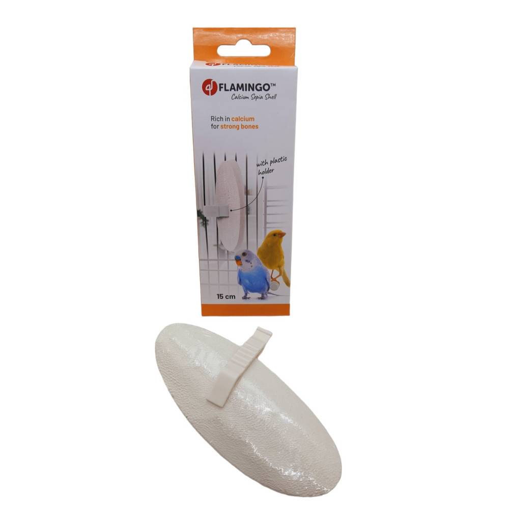 Un Os de seiche blanc  15 cm avec support pour oiseaux - Image 4