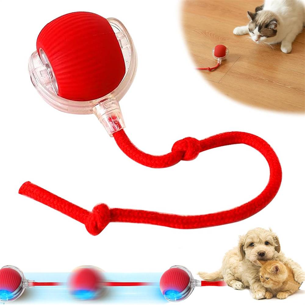 Balle roulante interactive pour chiens(Rouge) DtopbuyAge