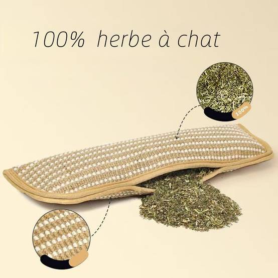 Jouets pour chats avec herbe à chat : griffoirs à mâcher - divertissent les chatons et soulagent l'ennui DtopbuyAge - Image 6