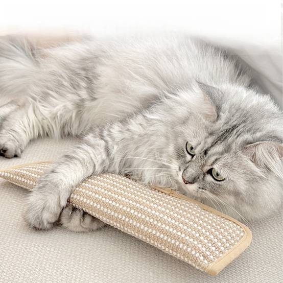 Jouets pour chats avec herbe à chat : griffoirs à mâcher - divertissent les chatons et soulagent l'ennui DtopbuyAge - Image 3