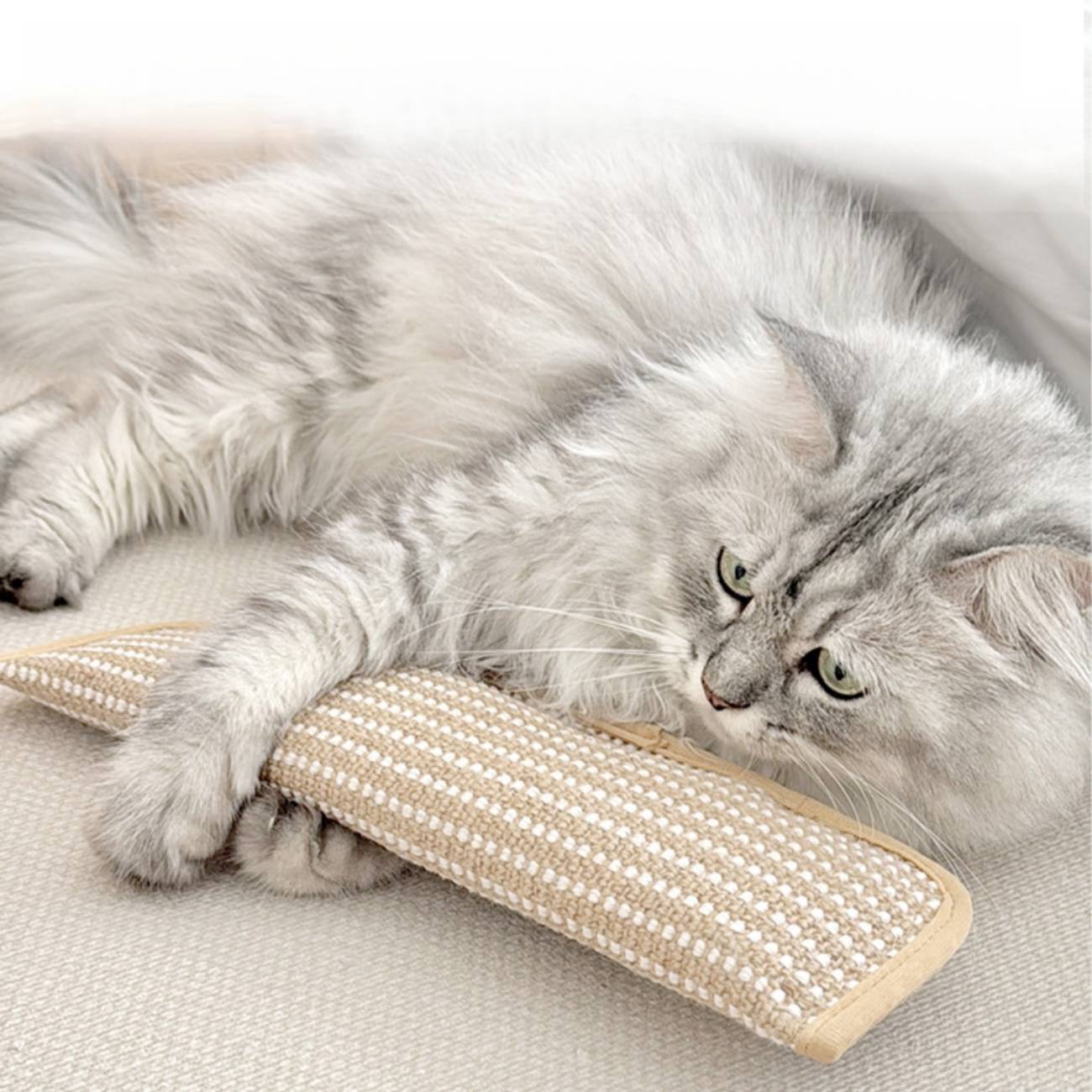 Jouets pour chats avec herbe à chat : griffoirs à mâcher - divertissent les chatons et soulagent l'ennui  DtopbuyAge - Image 3