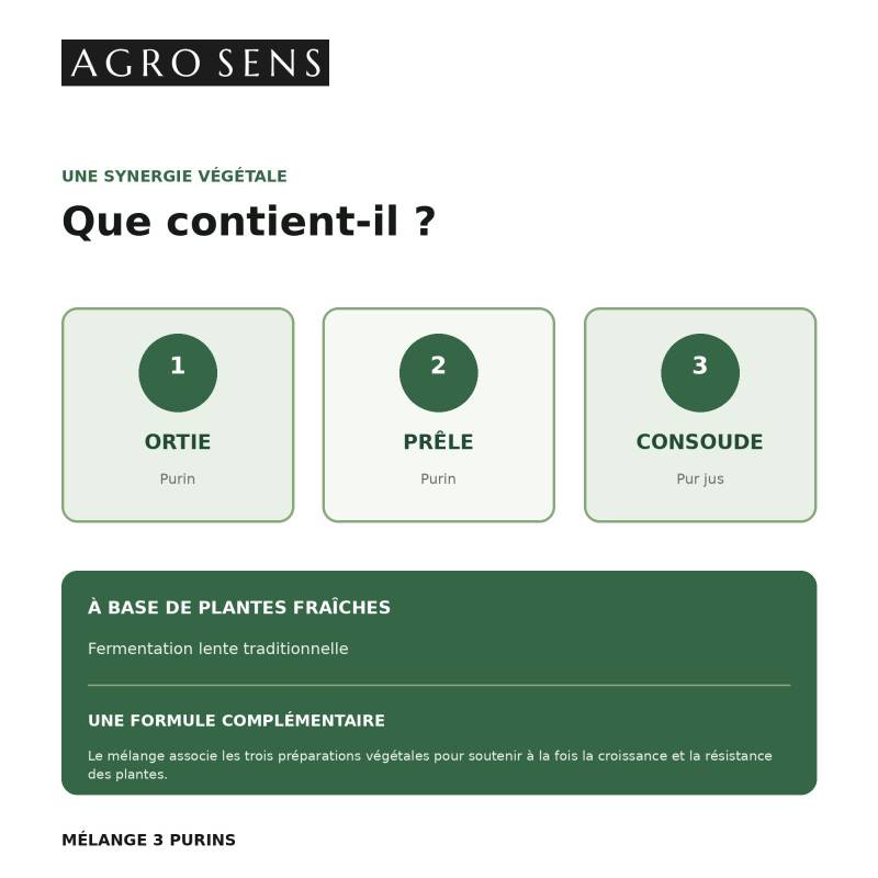 Mélange de 3 purins concentré, ortie, consoude et prêle - 5 Litres - Image 3