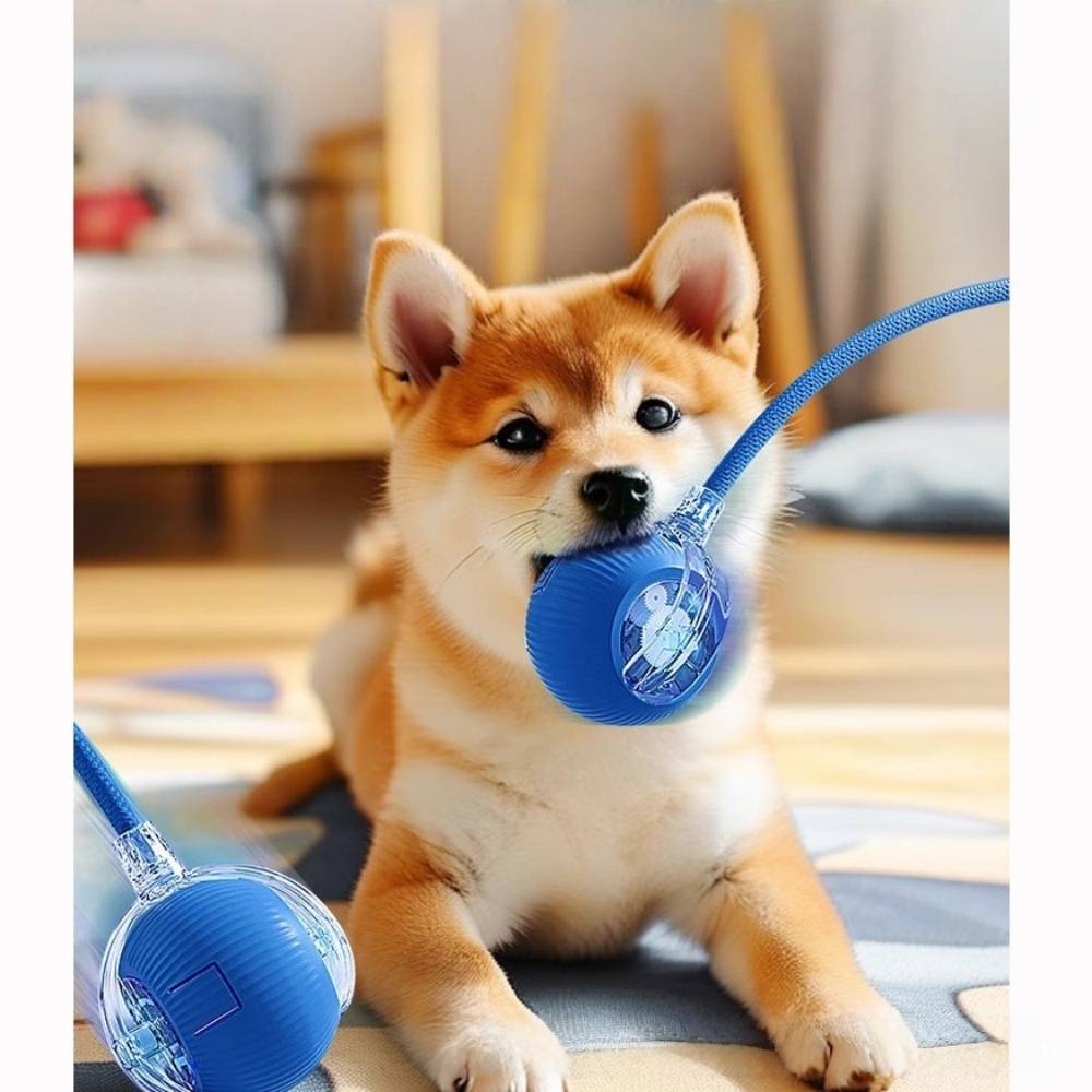 Roue interactive pour chat et chien - Évitement d'obstacles - Autonomie de 6 heures - Stimulation intellectuelle - Living123 - Image 5