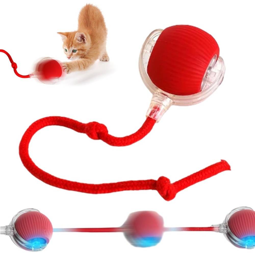 Roue interactive pour chat et chien - Évitement d'obstacles - Autonomie de 6 heures - Stimulation intellectuelle - Living123 - Image 1