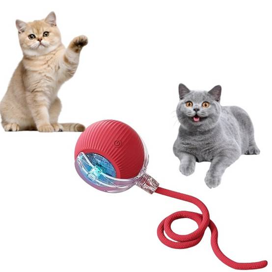 Roue interactive pour chat et chien - Évitement d'obstacles - Autonomie de 6 heures - Stimulation intellectuelle - Living123 - Image 4