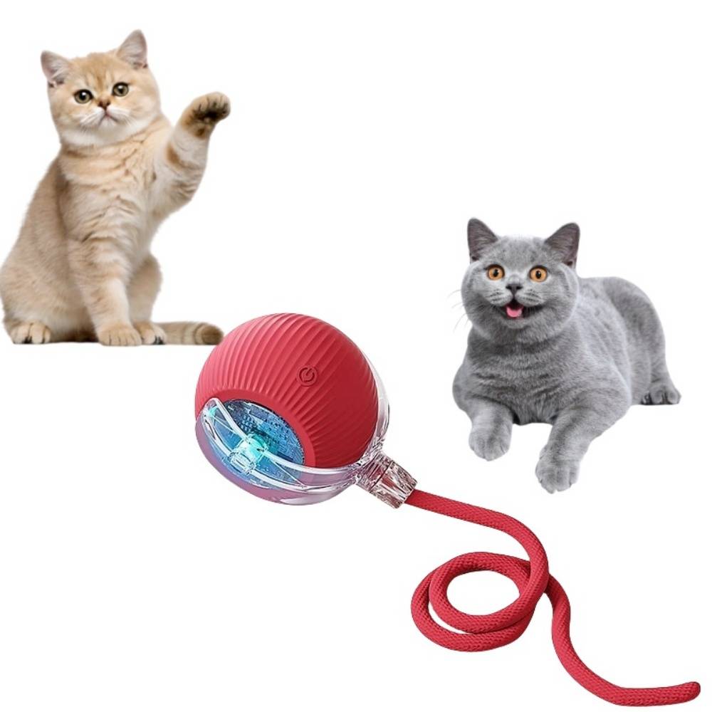 Roue interactive pour chat et chien - Évitement d'obstacles - Autonomie de 6 heures - Stimulation intellectuelle - Living123 - Image 4