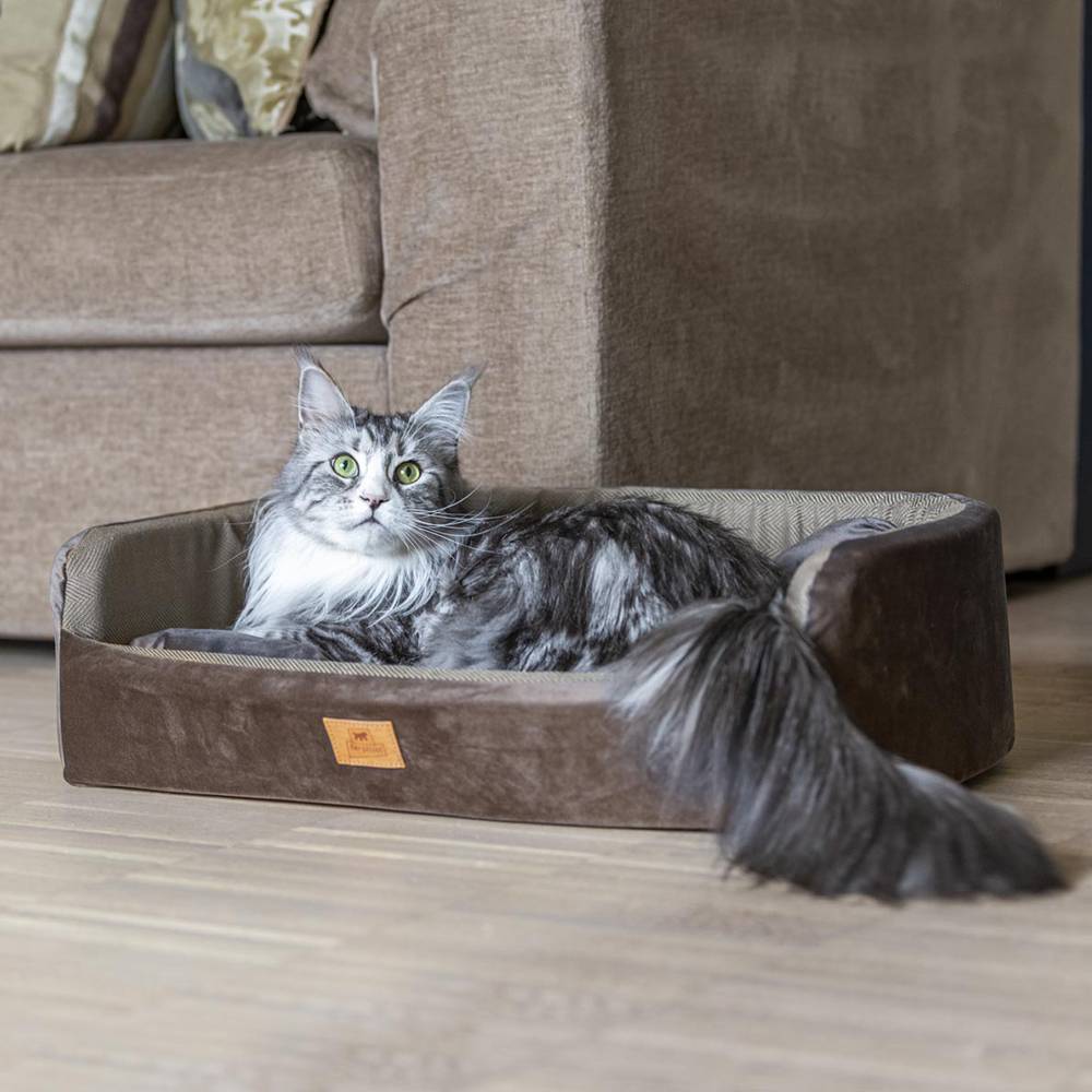 Ferplast - Couchage Rembourré Lit pour Chiens et Chats HARRIS 65 Lavable, avec Coussin, Tweed et Velours, Beige - Image 4