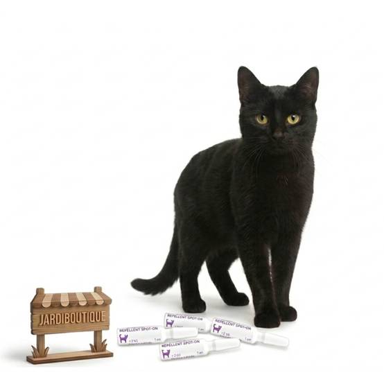 Francodex - 4 Pipettes antiparasitaires Icaridine Francodex - Chat plus de 2 kg - Image 3