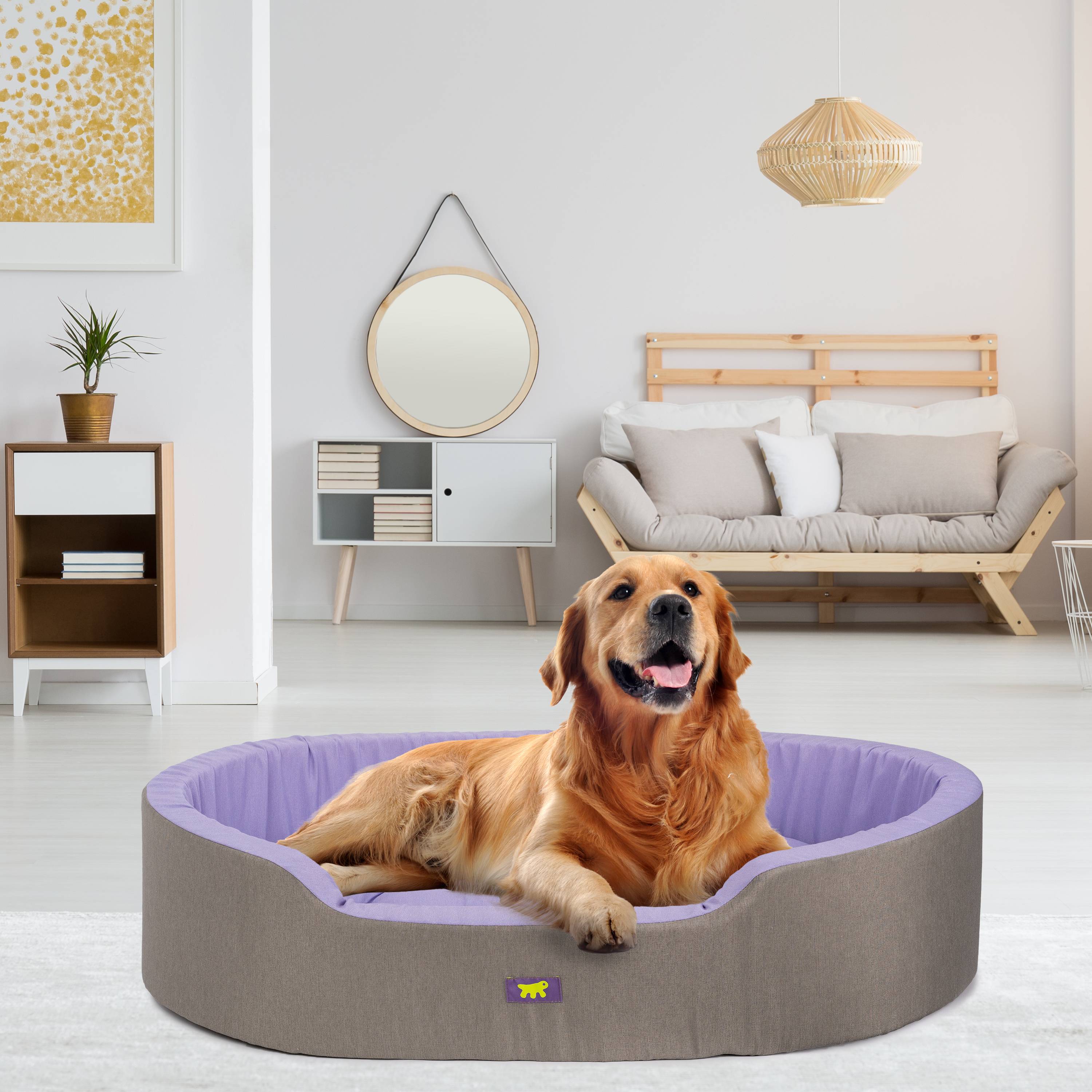 Ferplast - Ferplast Panier Chien Dandy, Coussin Amovible et Lavable, Housse en Coton avec Rembourrage Doux, Grand Lit pour Chien, 110 x 70 x H 23 cm, Lilas - Image 3
