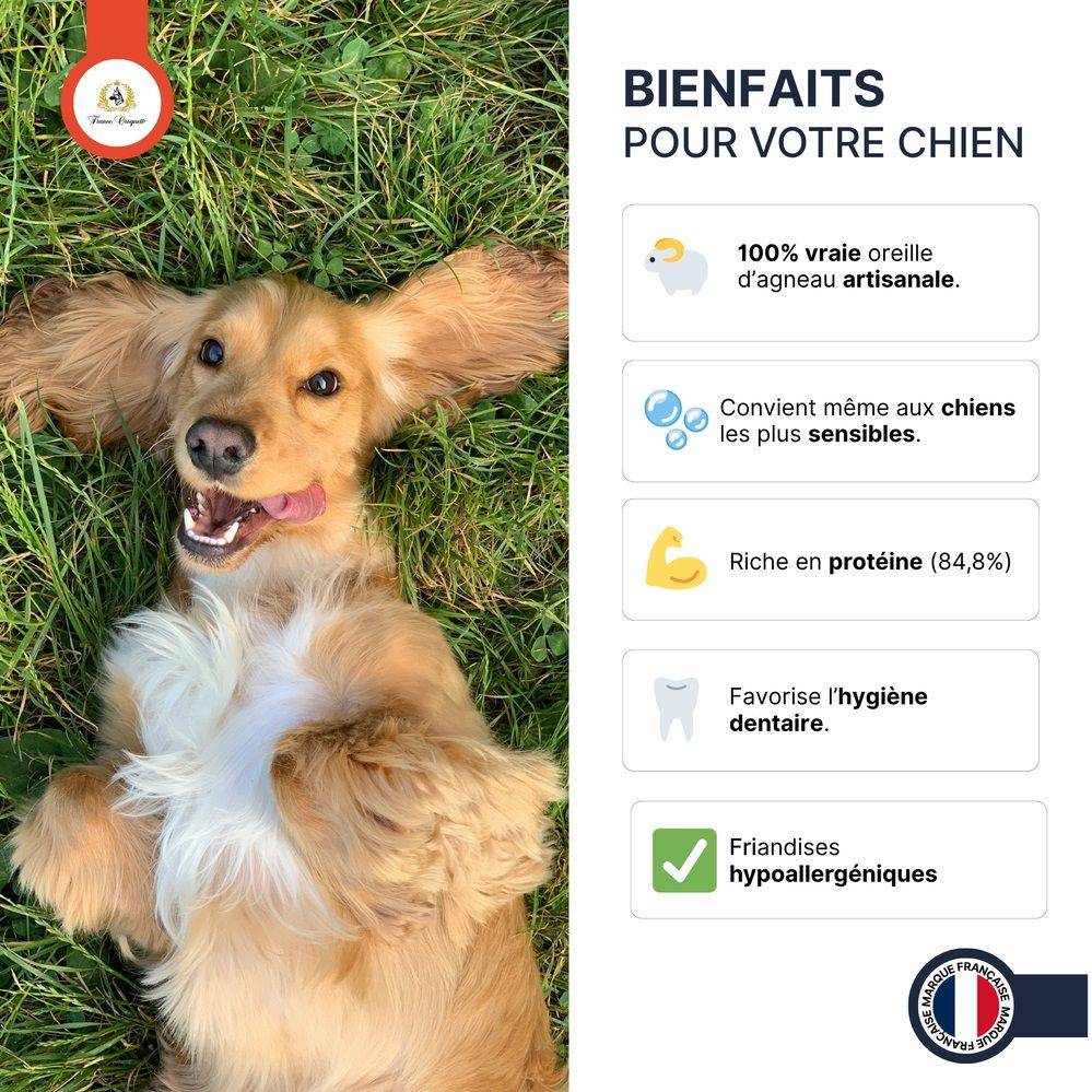 France Croquettes - France Croquettes Friandise pour chien Oreilles d'agneau - 500 g - Image 3