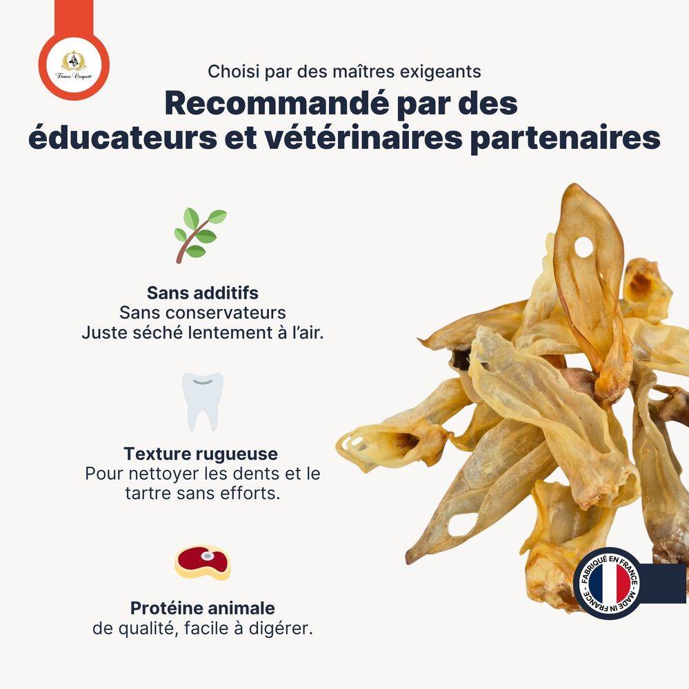 France Croquettes - France Croquettes Friandise pour chien Oreilles d'agneau - 500 g - Image 5
